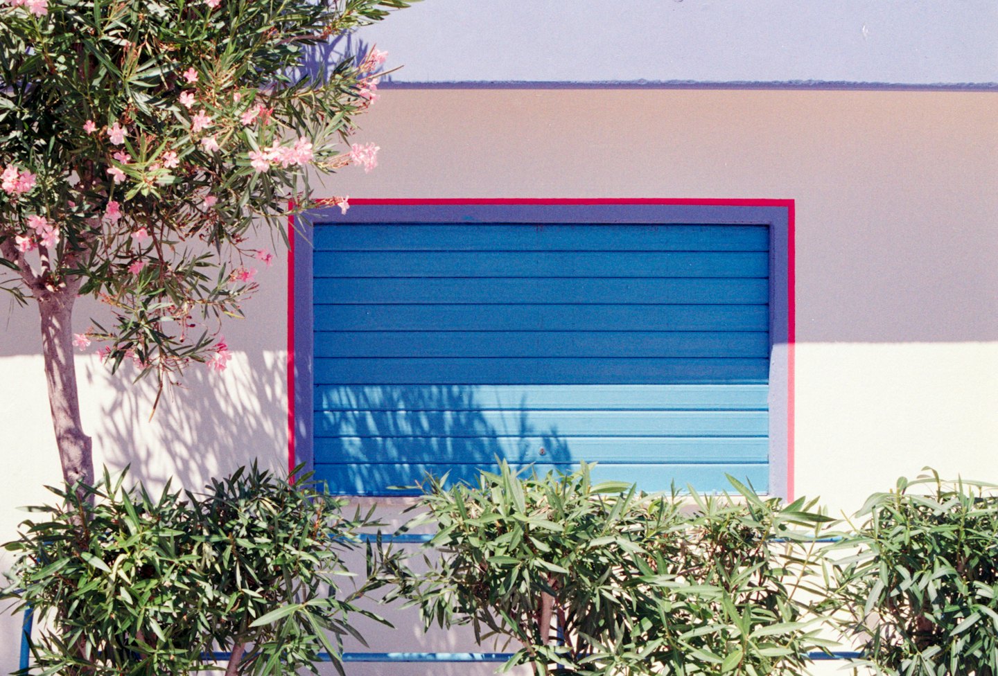 Blue window shutter with red frame against light wall with foliage.